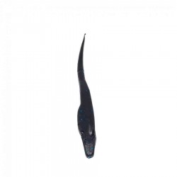 Gloton Berny 5'' Negro/Azul, 7 pcs