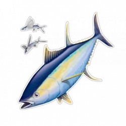 Salty Bones Indoor/Outdoor Sticker Yellowfin Tuna
