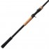 Shimano Expride EX180HPA Casting Rod